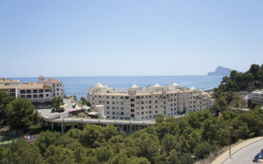 КВАРТИРА С ПАНОРАМНЫМ ВИДОМ В АЛТЕЕ.