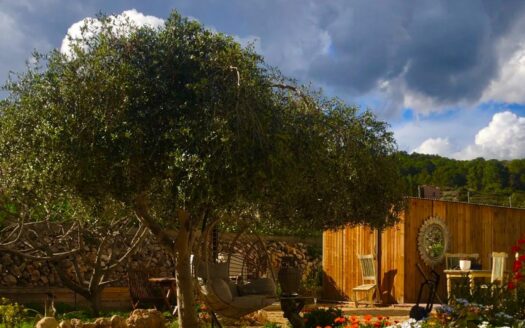 COUNTRY HOUSE IN POLOP