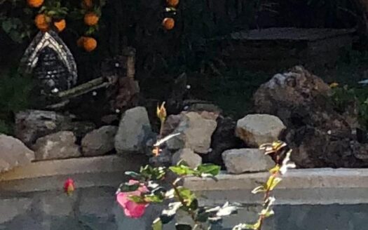 COUNTRY HOUSE IN POLOP