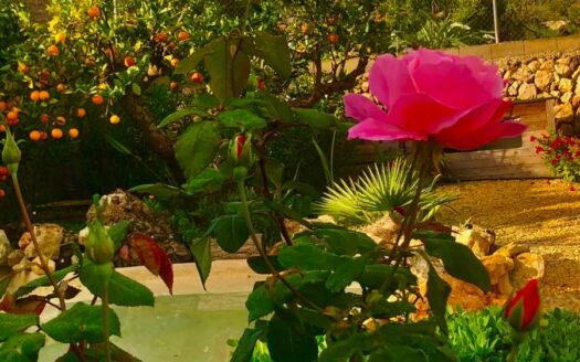 COUNTRY HOUSE IN POLOP