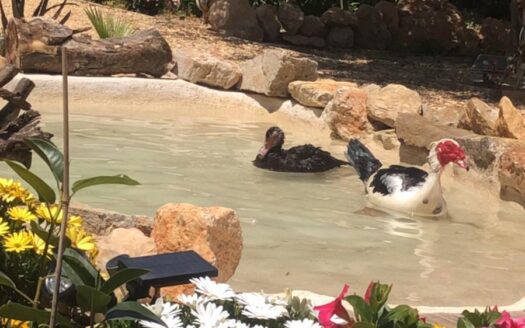 COUNTRY HOUSE IN POLOP