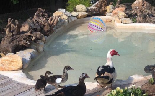 COUNTRY HOUSE IN POLOP