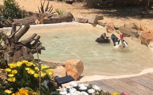 COUNTRY HOUSE IN POLOP