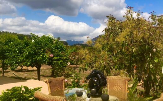 COUNTRY HOUSE IN POLOP