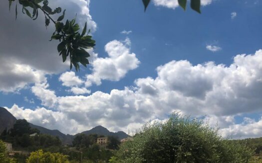 COUNTRY HOUSE IN POLOP